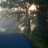 The Sun Burns Through